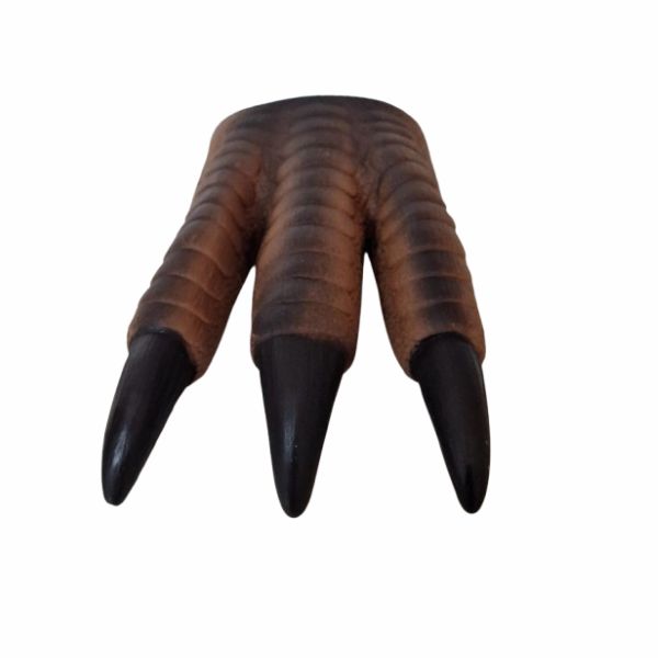 Pata Dinossauro 